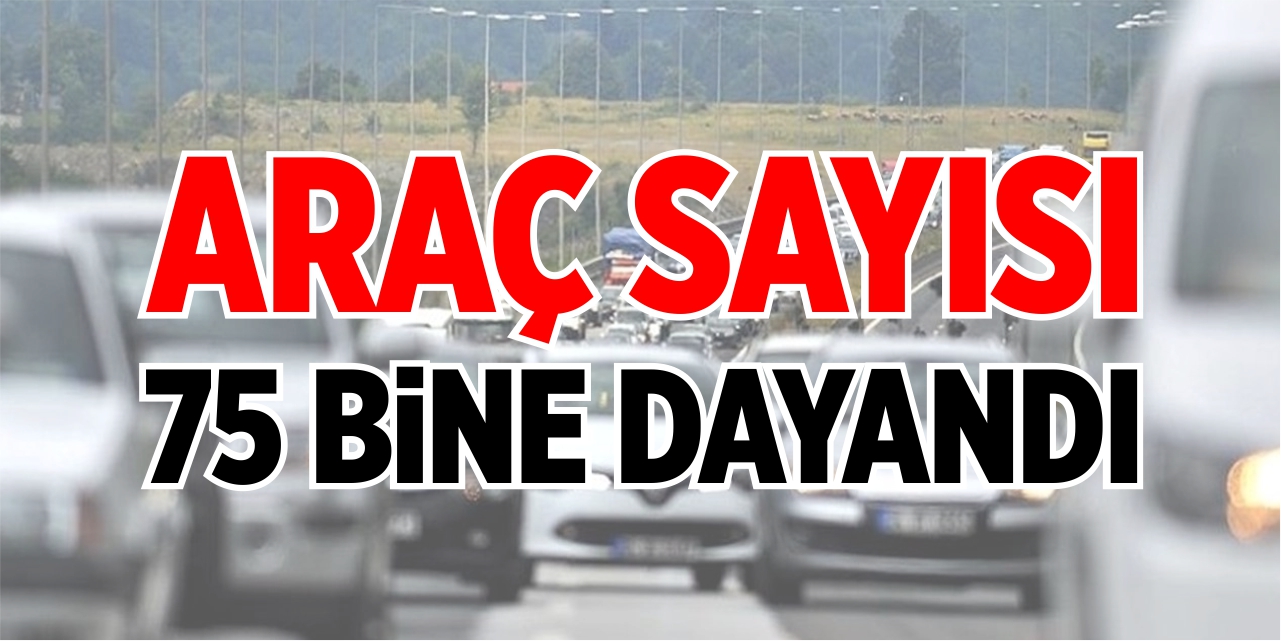 Araç sayısı 75 bine dayandı