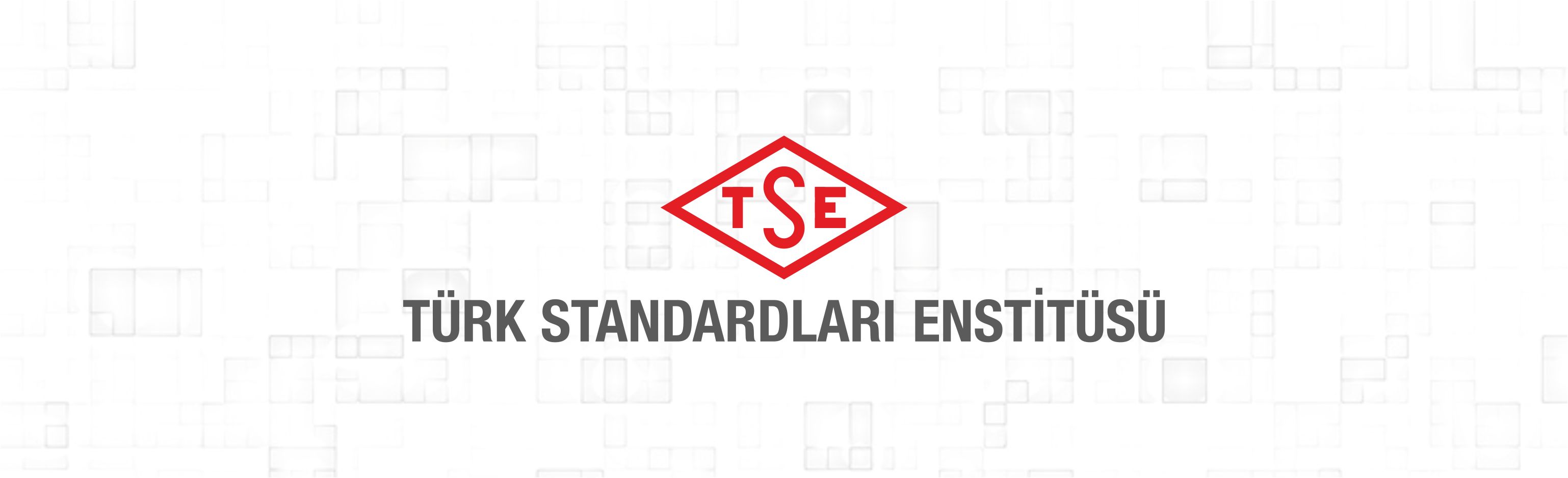 Türk Standardları Enstitüsü Sözleşmeli Bilişim Personeli Alacak
