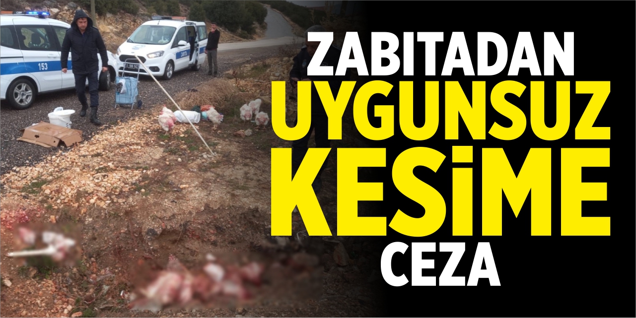 Zabıtadan uygunsuz kesime ceza!