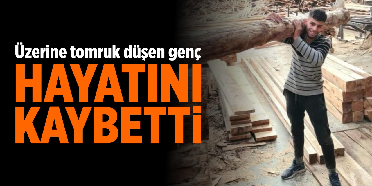 Üzerine tomruk düşen genç hayatını kaybetti