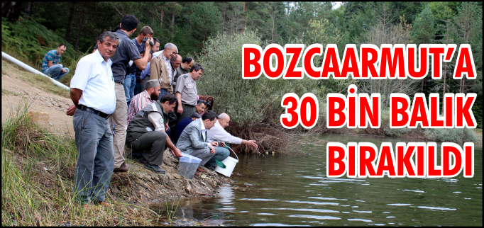 BOZCAARMUT’A 30 BİN BALIK BIRAKILDI
