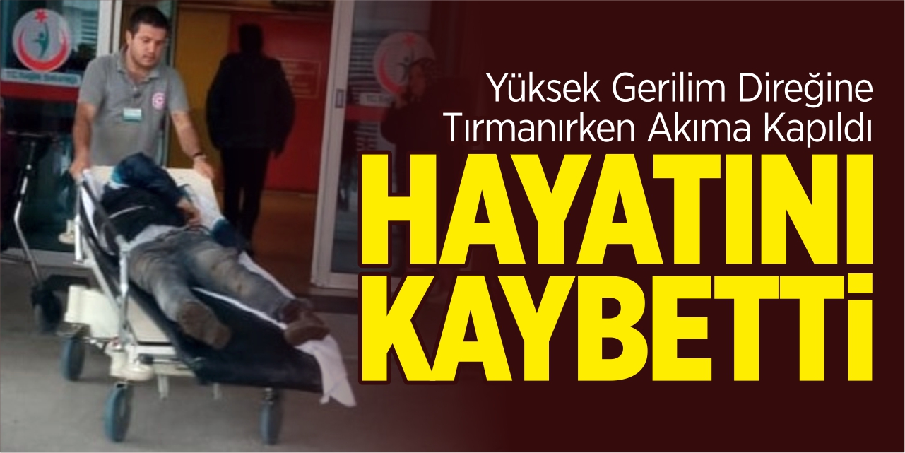 Yüksek gerilim direğine tırmanırken akıma kapılarak hayatını kaybetti