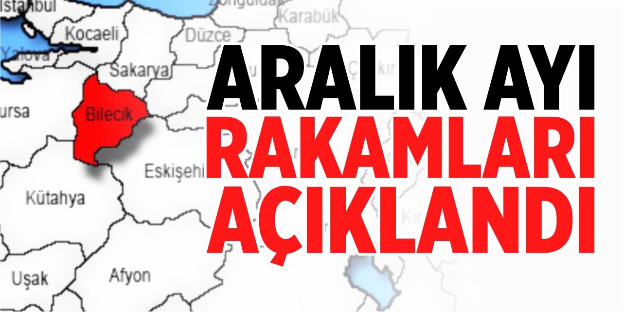 Aralık ayı rakamları açıklandı