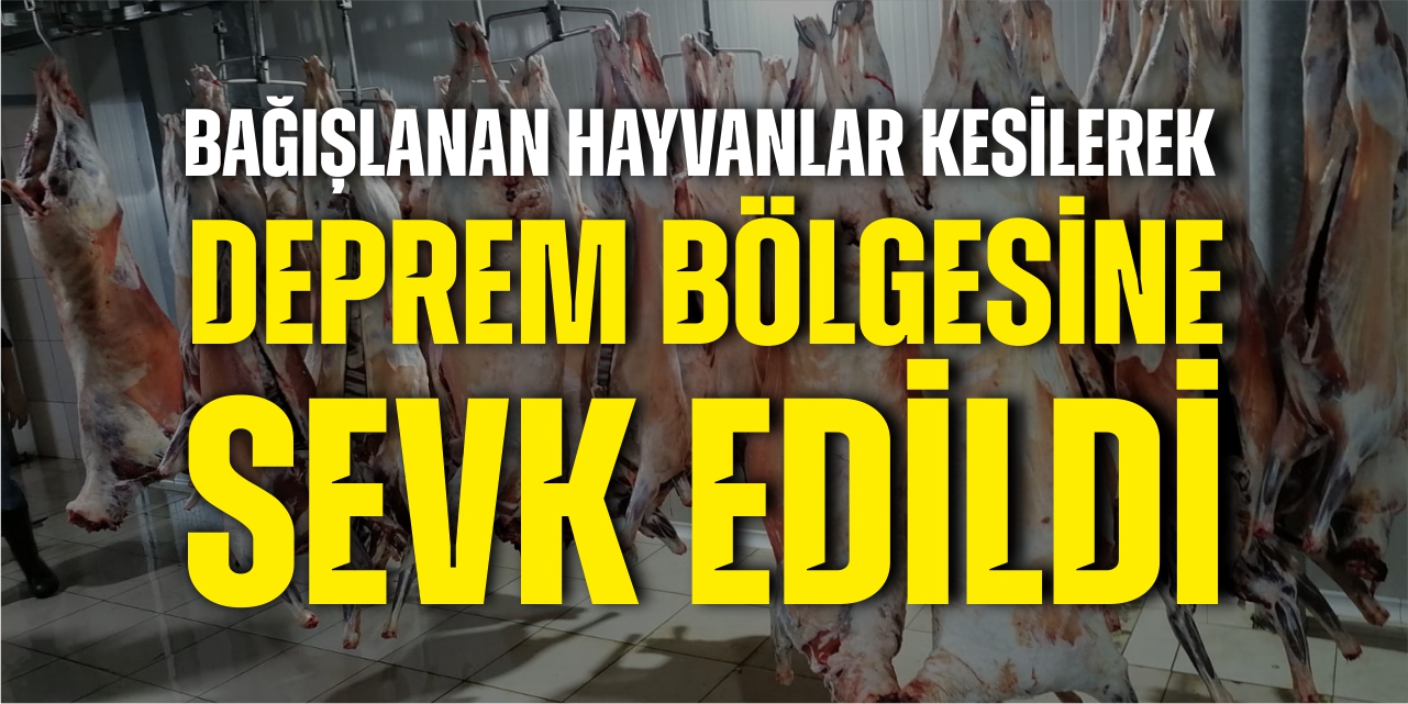 Bağışlanan hayvanlar kesilerek deprem bölgesine sevk edildi