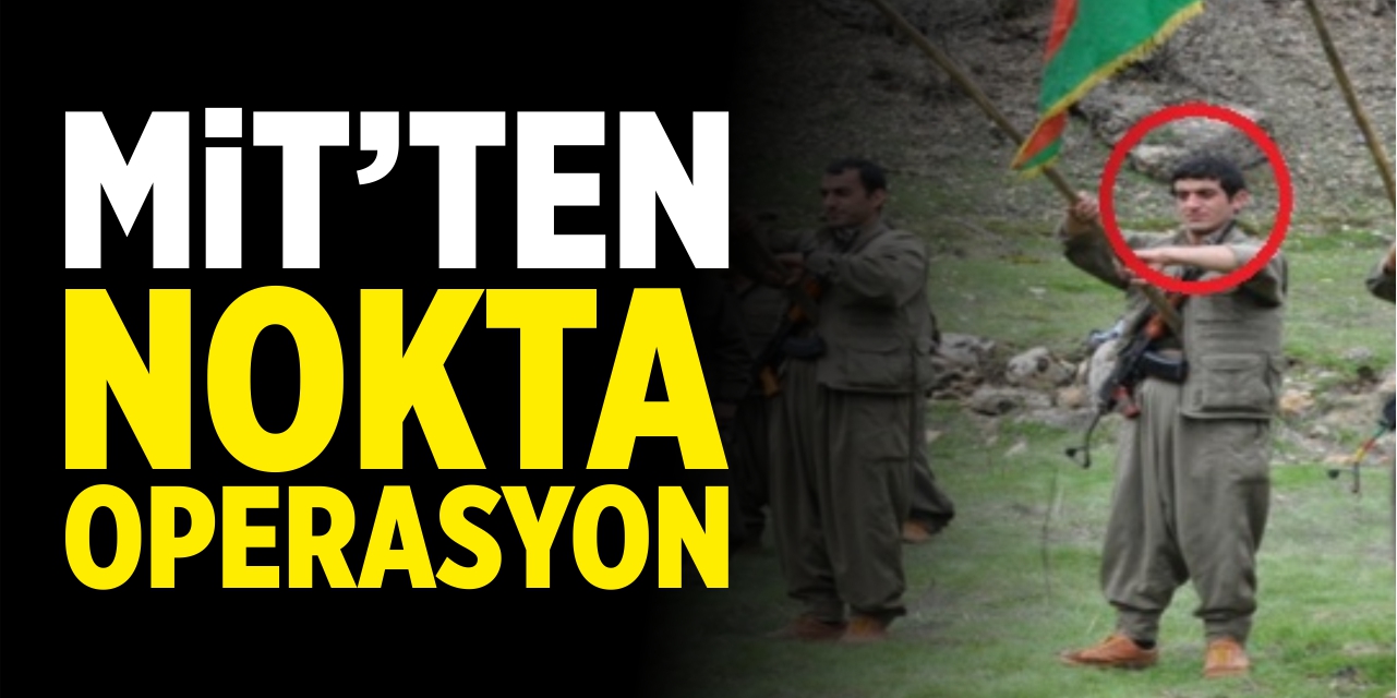 MİT'ten nokta operasyon