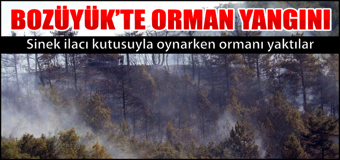 SİNEK İLACI KUTUSUYLA OYNARKEN ORMANI YAKTILAR