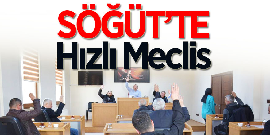 Söğüt'te hızlı meclis