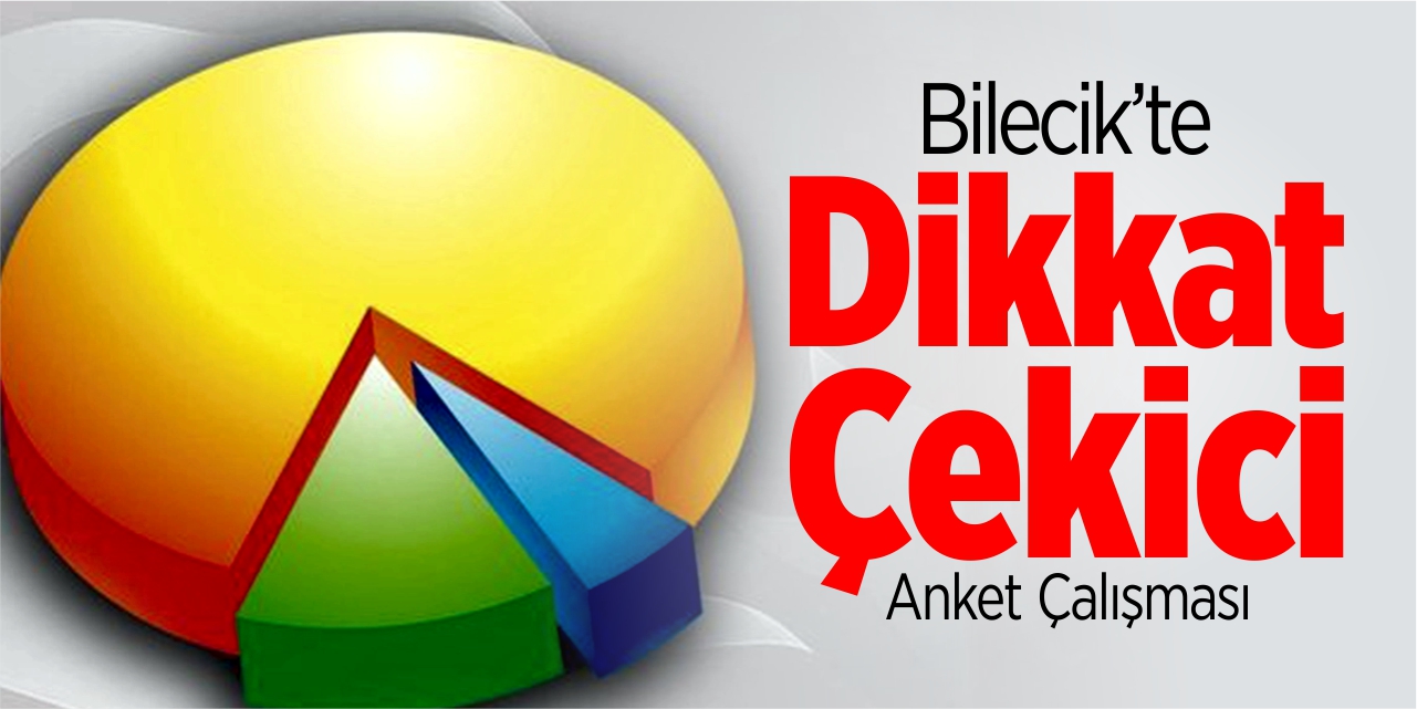 Bilecik'te dikkat çekici anket çalışması