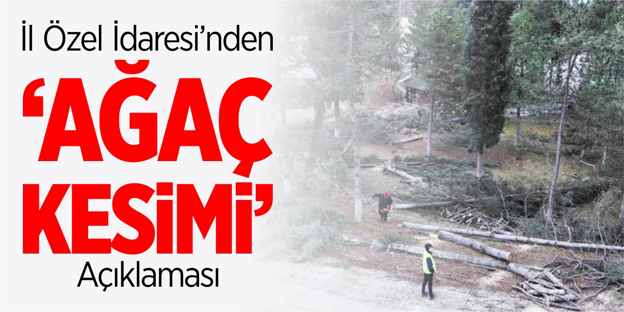 İl Özel İdaresi’nden ‘Ağaç kesimi’ açıklaması