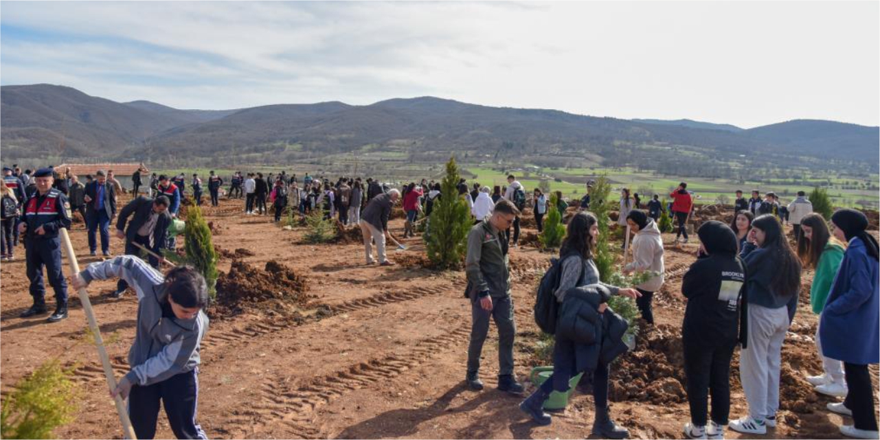 Pazaryeri MYO'da fidan dikim etkinliği