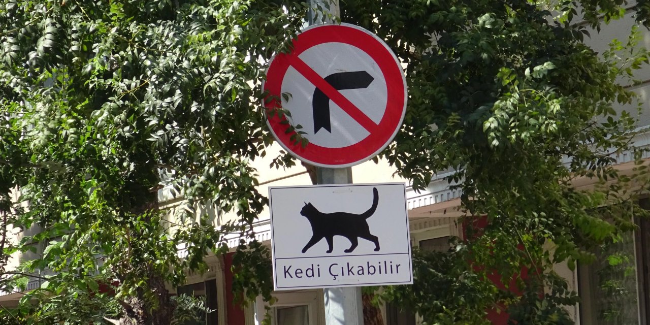 “Dikkat Kedi Çıkabilir”