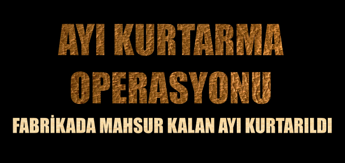 AYI KURTARMA OPERASYONU