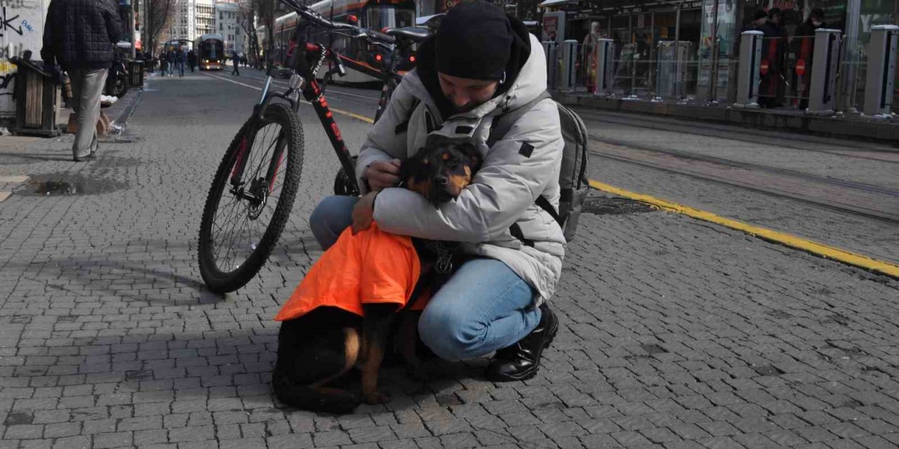 Kayıp köpeğe duyarlı vatandaş sahip çıktı