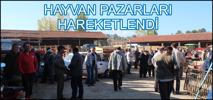 HAYVAN PAZARLARI HAREKETLENDİ