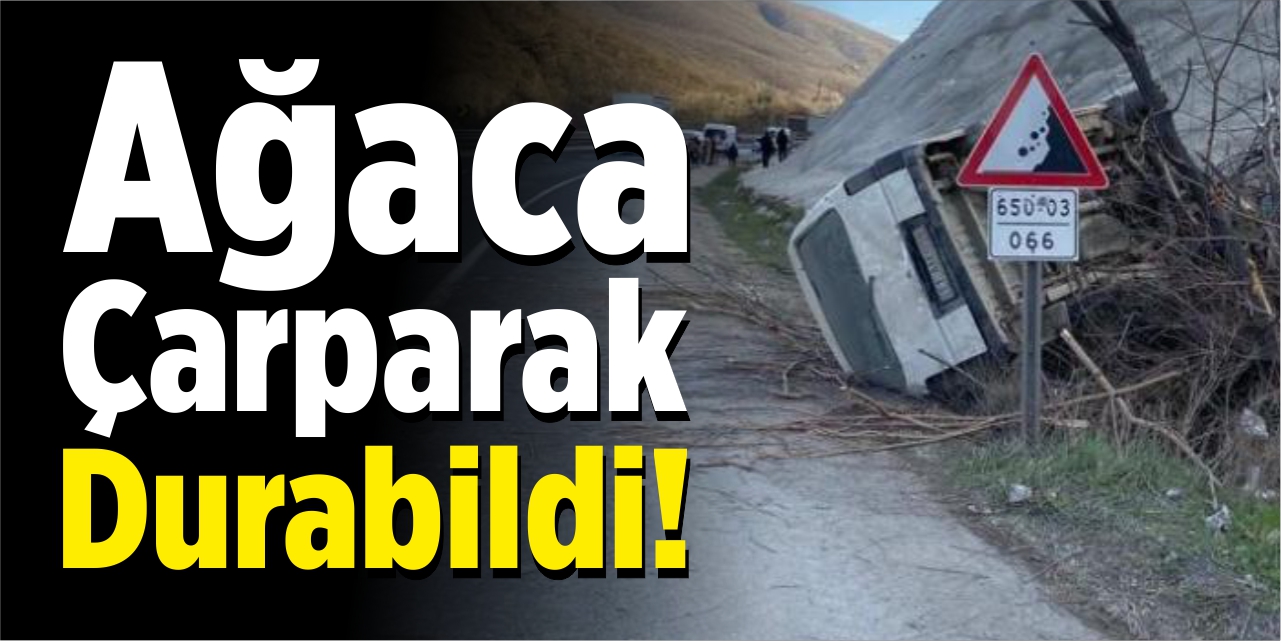 Ağaca çarparak durabildi