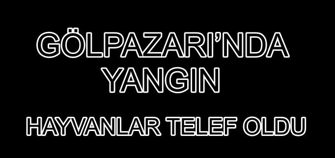 GÖLPAZARI’NDA YANGIN