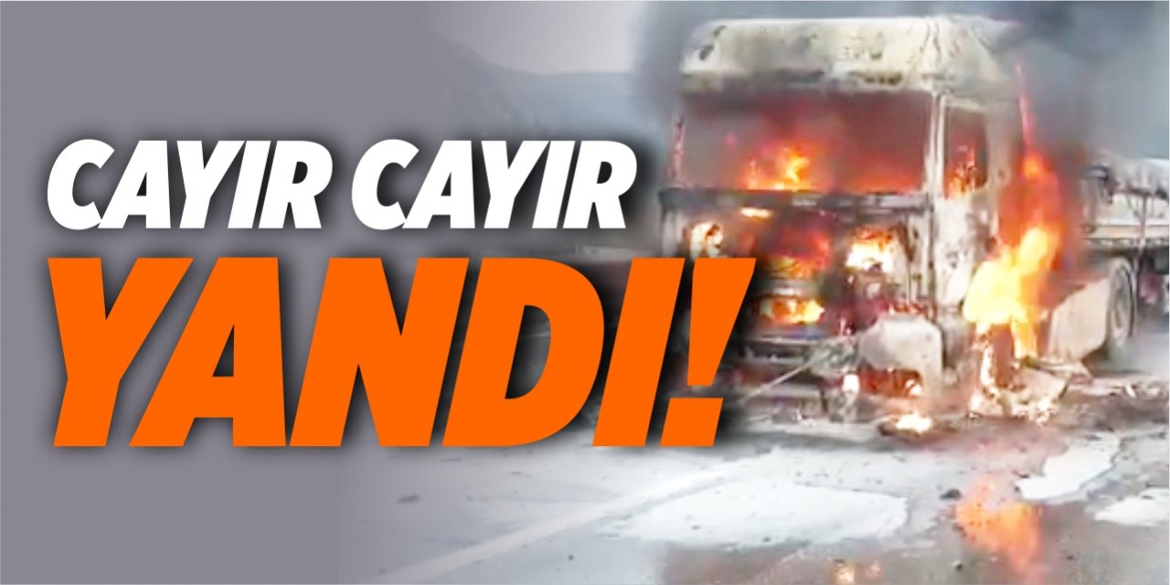 Cayır cayır yandı!