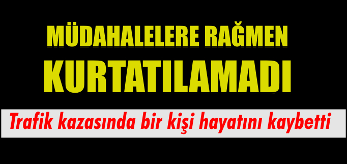 MÜDAHALELERE RAĞMEN KURTARILAMADI