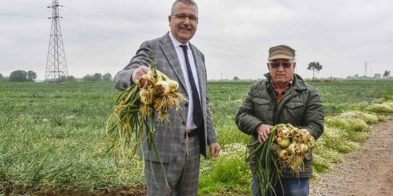 Hasat sonrası soğan fiyatı 7 liraya kadar düşecek