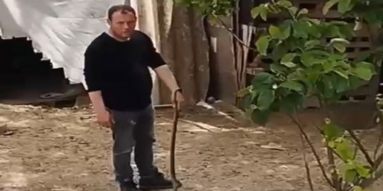Bahçesine giren yılanı elleriyle yakaladı