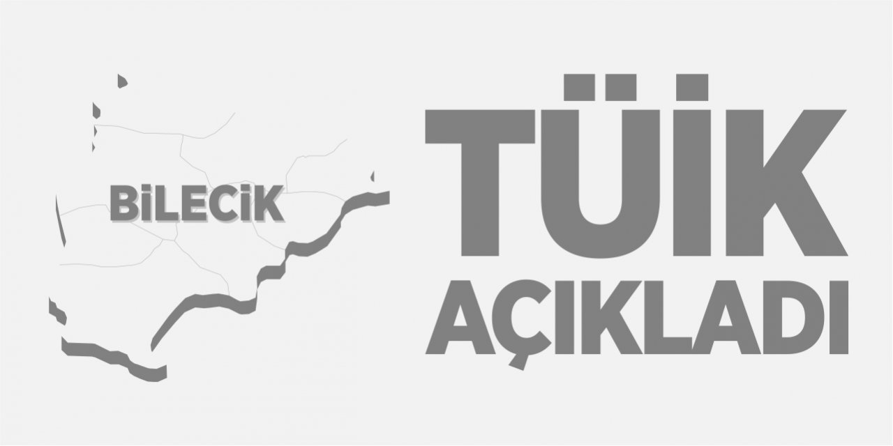 TÜİK açıkladı