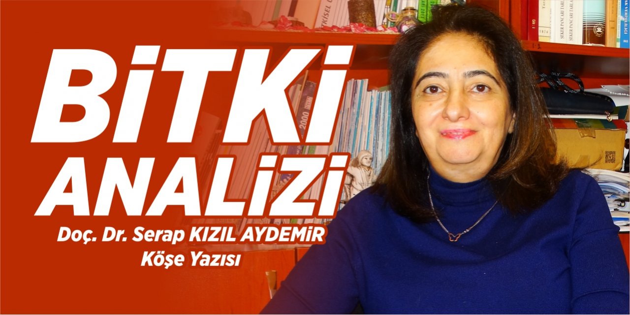 Bitki Analizi