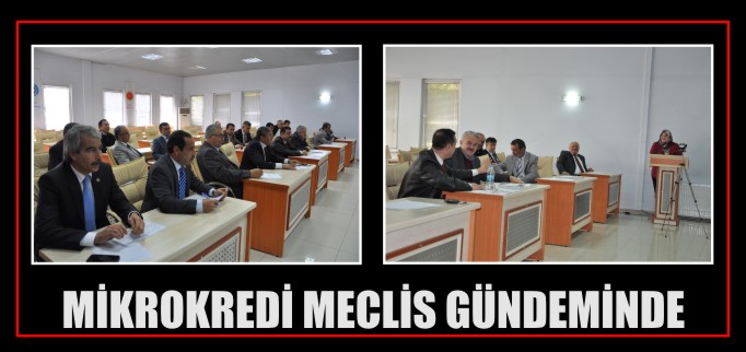 MİKROKREDİ MECLİS GÜNDEMİNDE