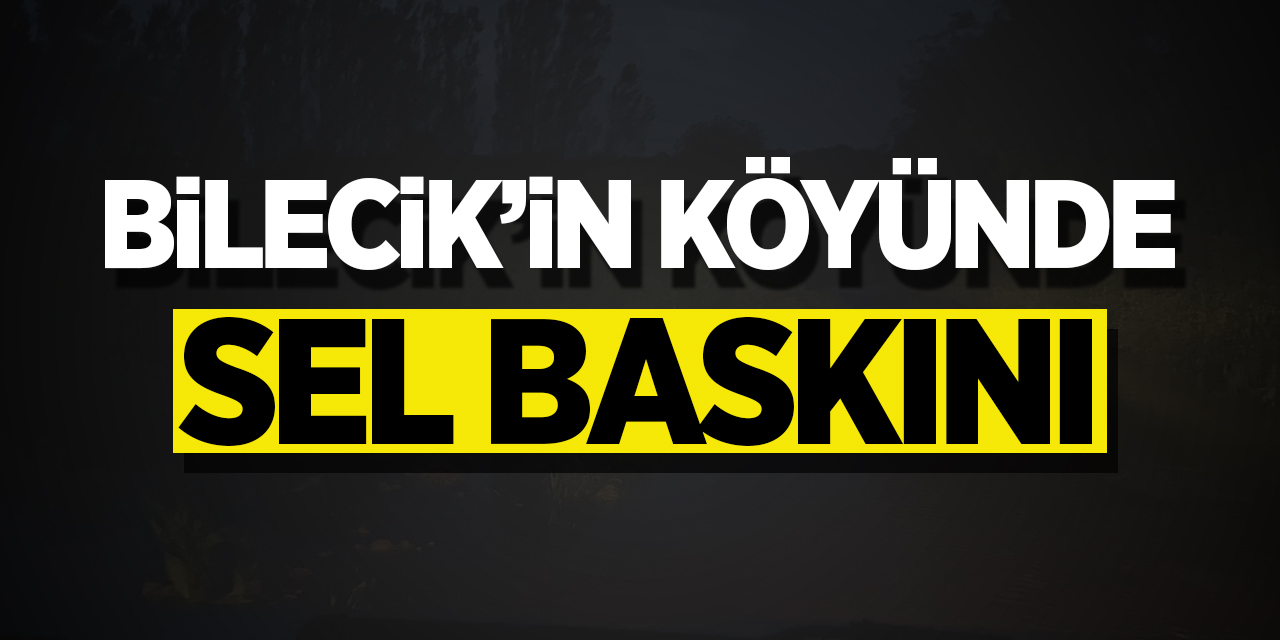 Bilecik'te sel baskını!