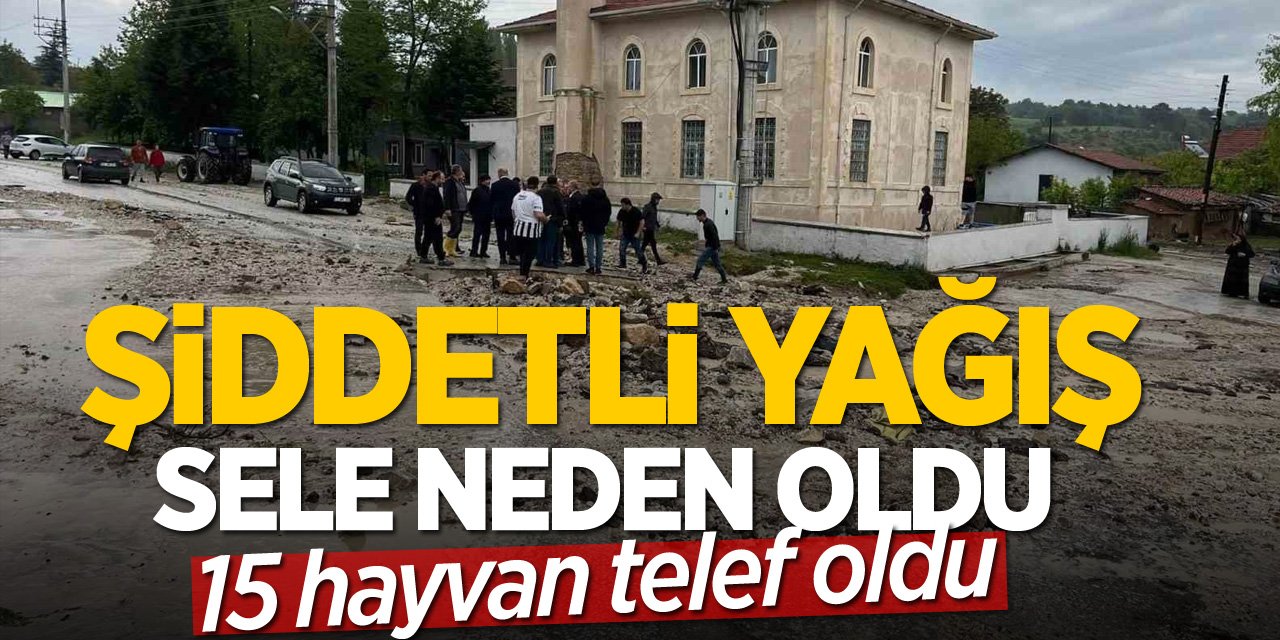 Şiddetli Yağış Sele Neden Oldu