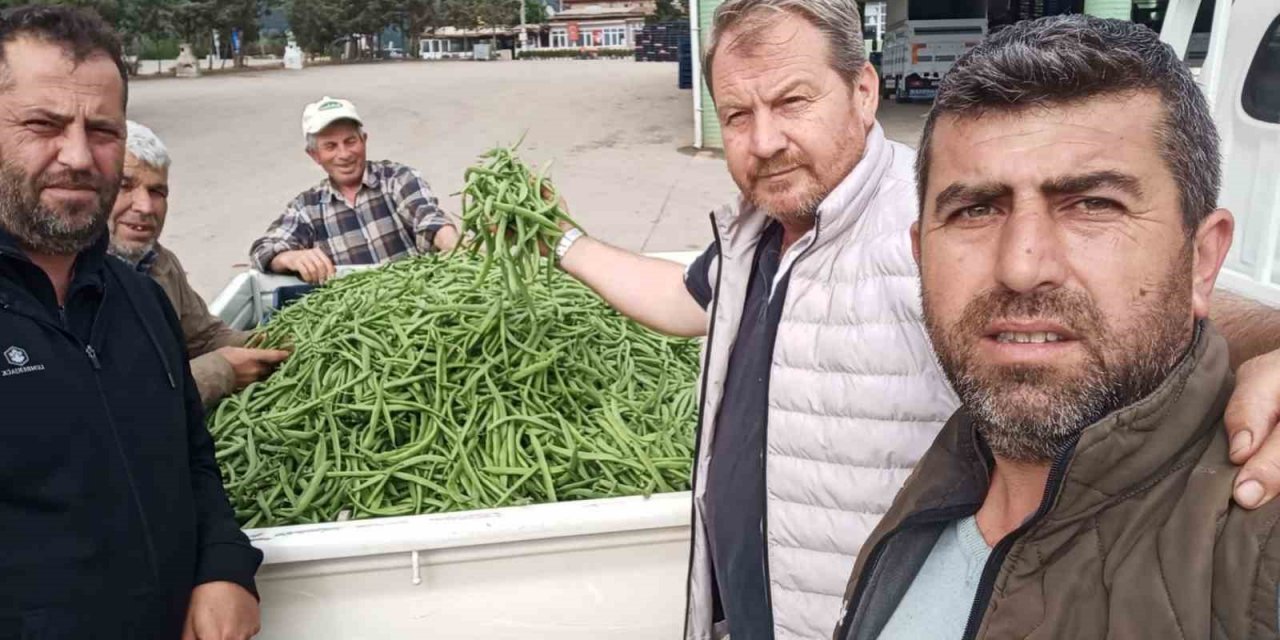 Nazende fasulye çıktı