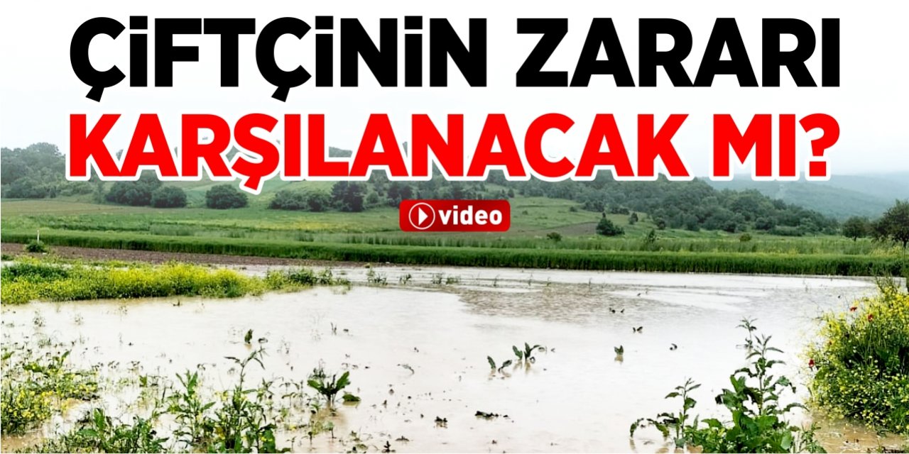 Çiftçinin zararı karşılanacak mı?