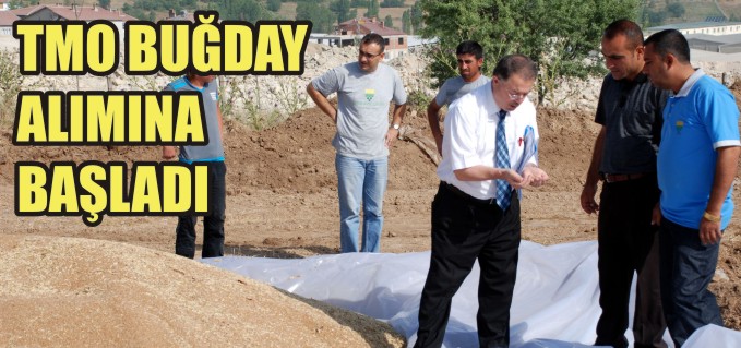 TMO BUĞDAY ALIMINA BAŞLADI