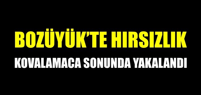 BOZÜYÜK’TE HIRSIZLIK İDDİASI