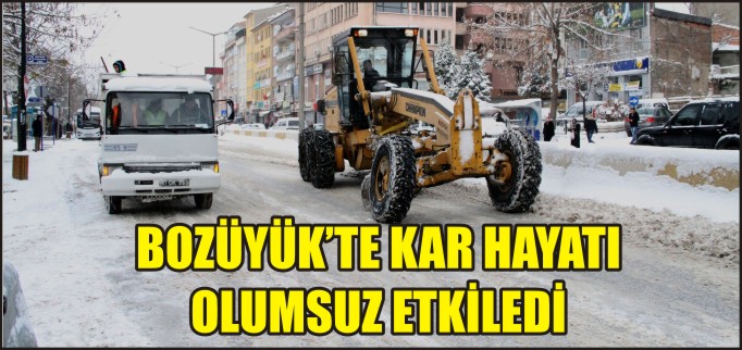 KAR YAŞAMI OLUMSUZ ETKİLEDİ