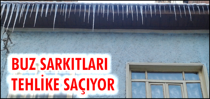 BUZ SARKITLARI TEHLİKE SAÇIYOR