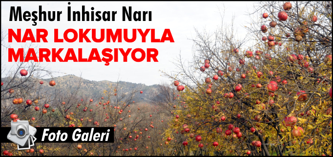 İNHİSAR NARI NAR LOKUMUYLA MARKALAŞIYOR