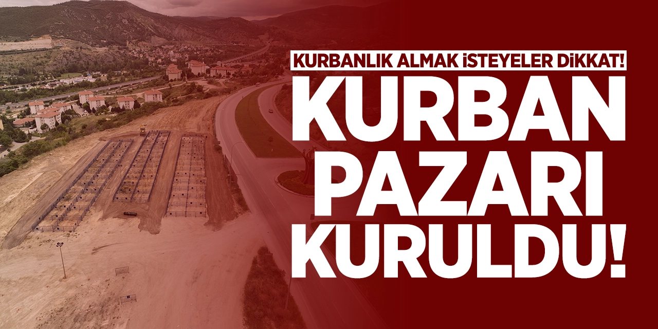 Kurbanlık almak isteyenler dikkat; Kurban pazarı kuruldu