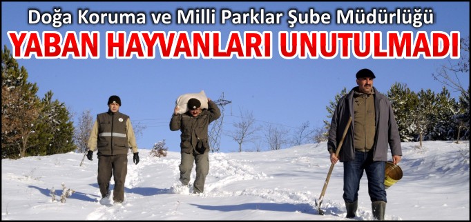 DOĞA HAYVANLARI UNUTULMADI