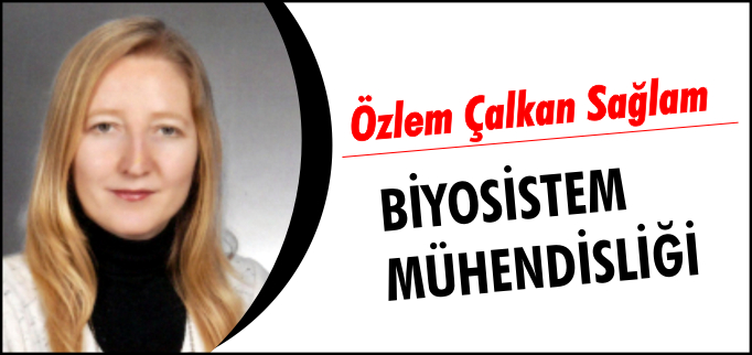 BİYOSİSTEM MÜHENDİSLİĞİ