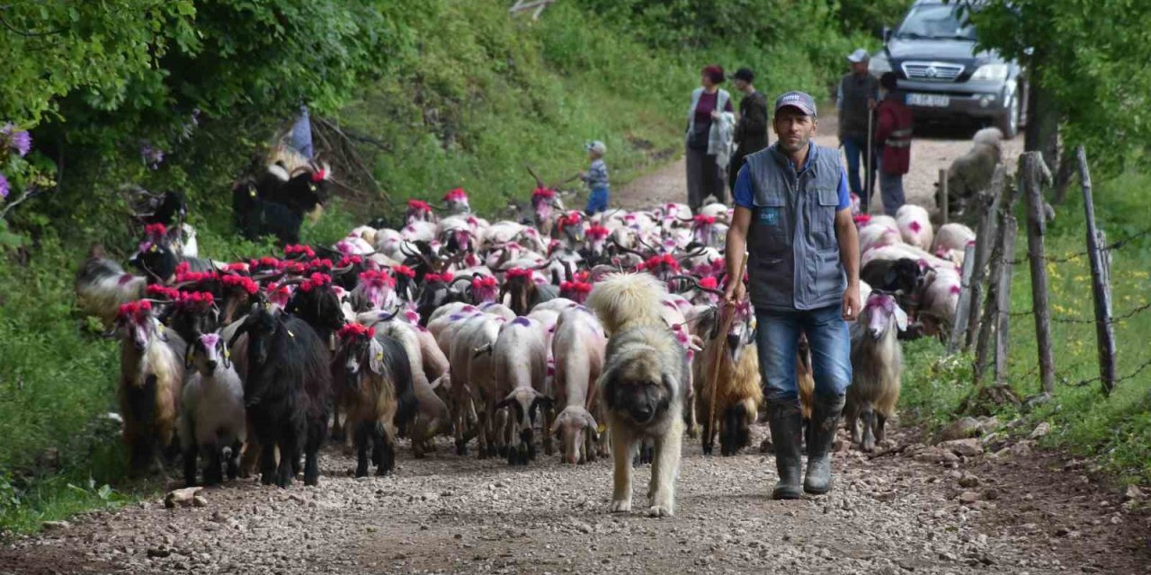 116 yıldır devam eden gelenek