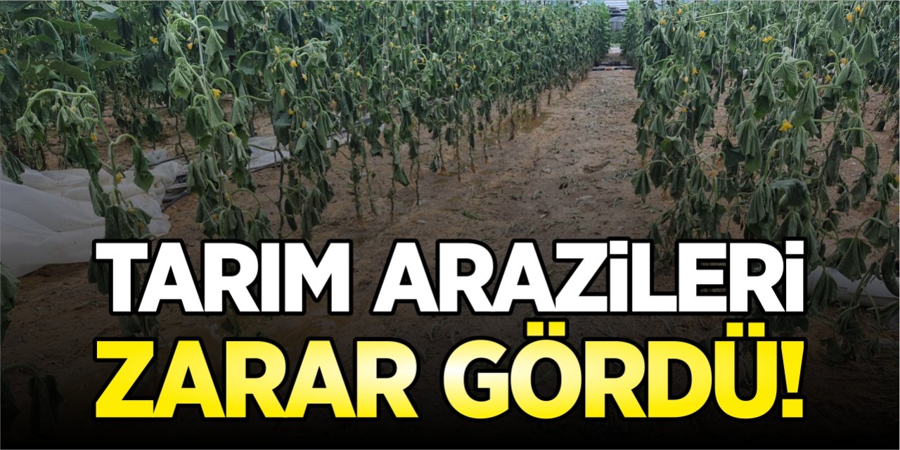 Tarım arazileri zarar gördü!