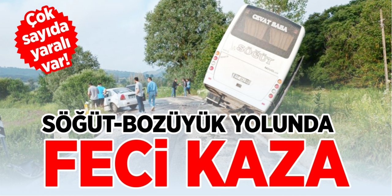 Söğüt-Bozüyük yolunda feci kaza!