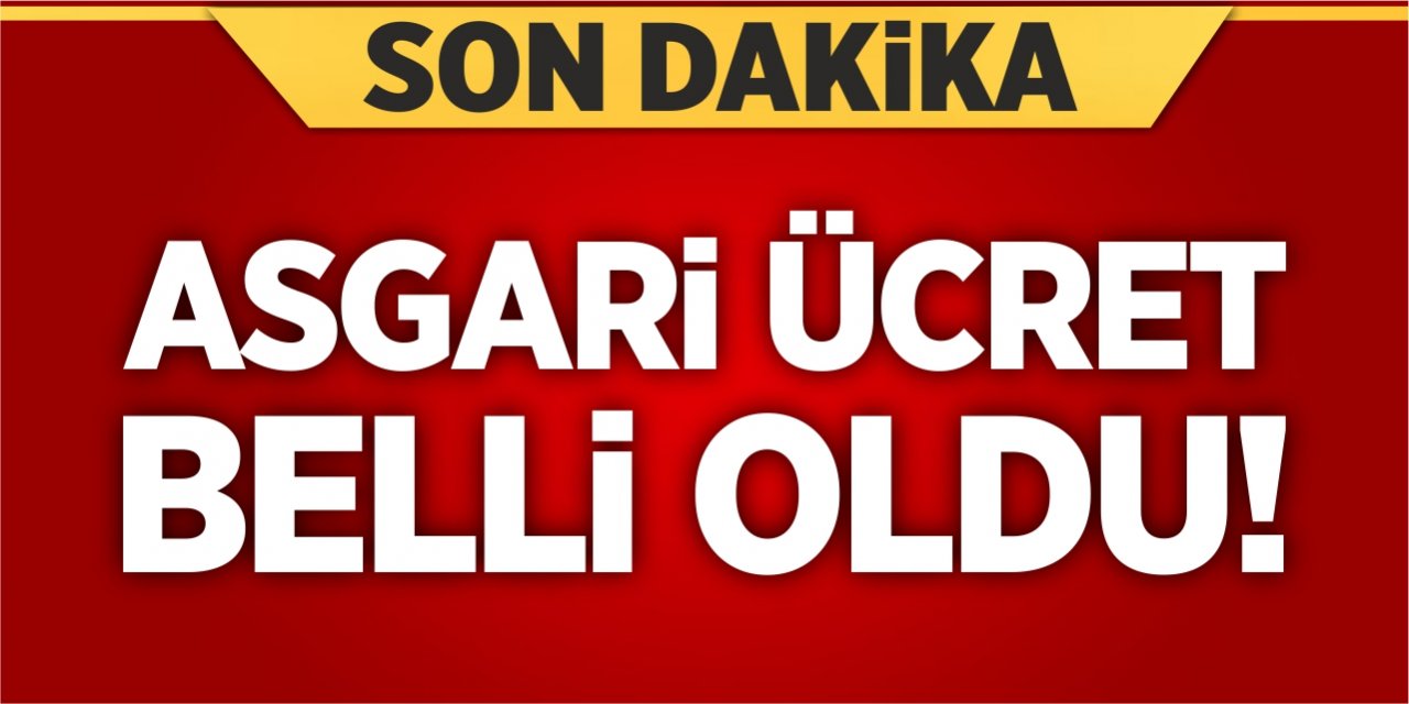 Asgari ücret belli oldu