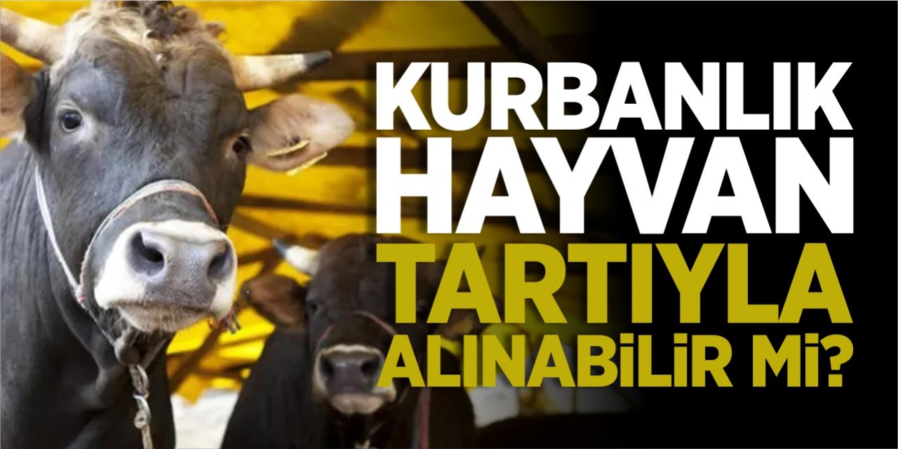 Kurbanlık hayvan tartıyla alınabilir mi?