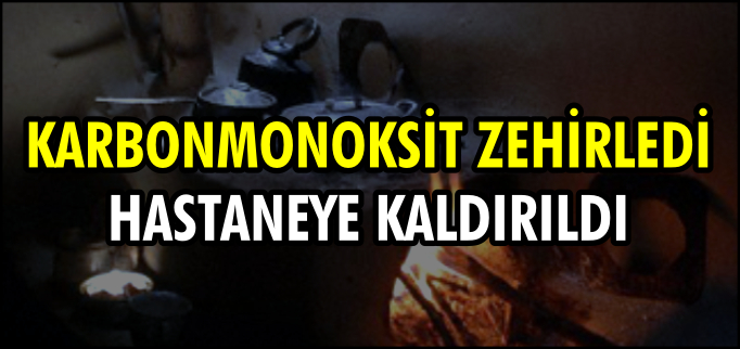 KARBONMONOKSİT GAZI ZEHİRLEDİ