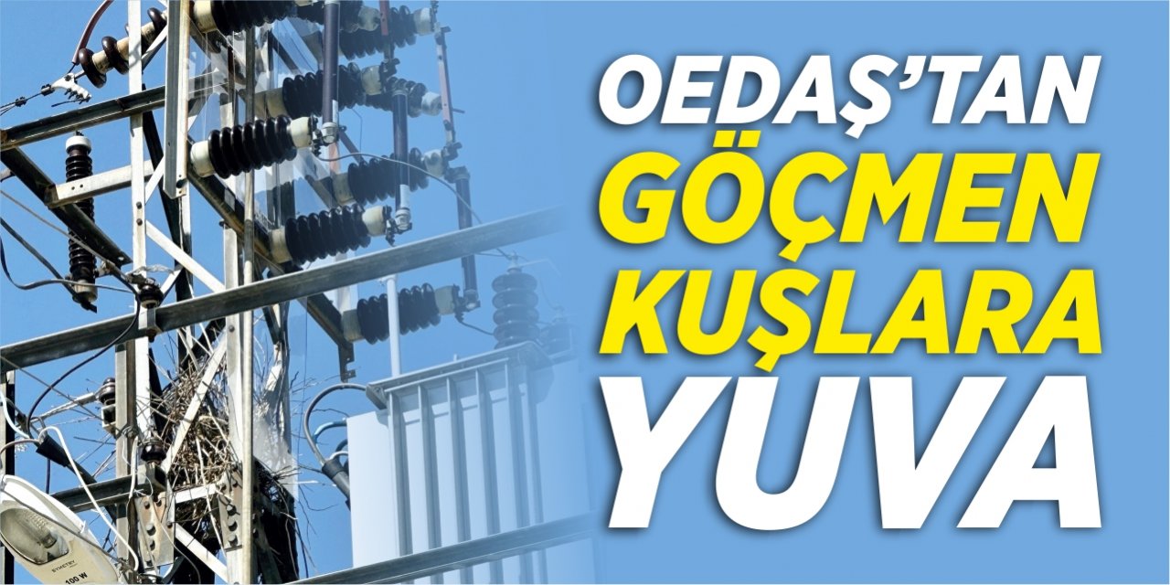 OEDAŞ'tan 'Göçmen Kuşlara' yuva