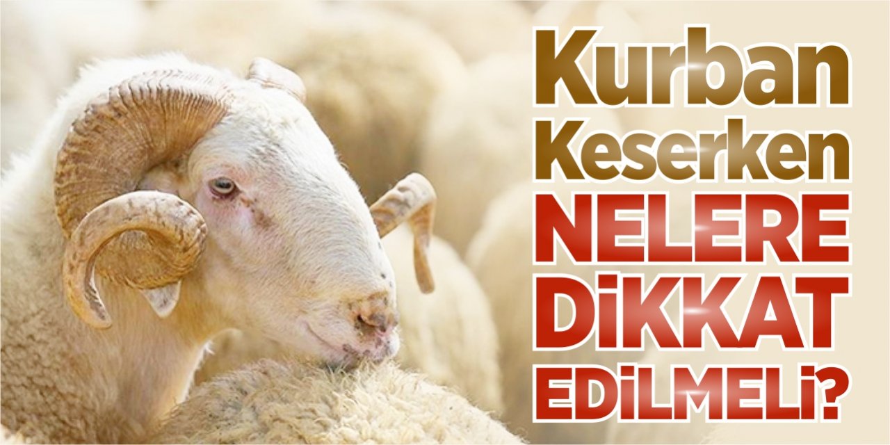 Kurban keserken nelere dikkat edilmeli?