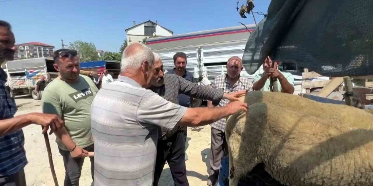 Bayrama sayılı günler kala kurban pazarlarında hareketlilik