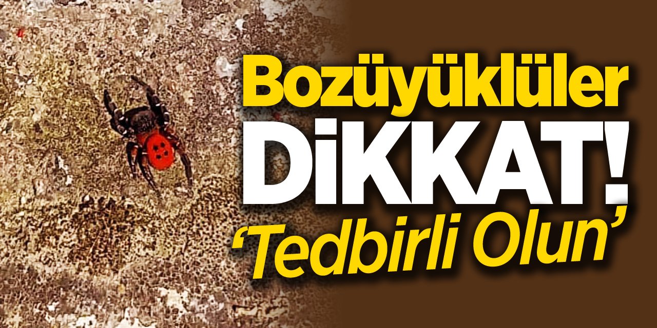 Bozüyüklüler Dikkat!