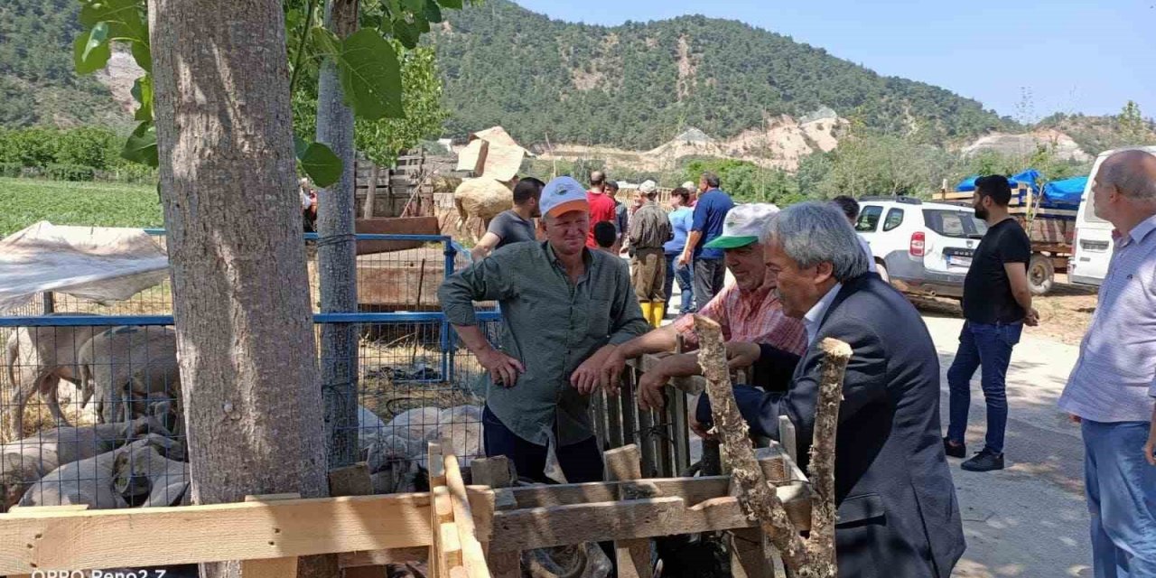 Başkan Şahin kurban pazarında incelemelerde bulundu